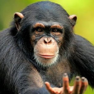 phunyaphat's profile picture. 