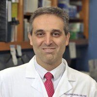 Hossein Ardehali (@ardehalihossein) 's Twitter Profile