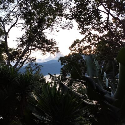 Mauricio_zg's profile picture. Salvadoreño, de el Salvador 😆😁