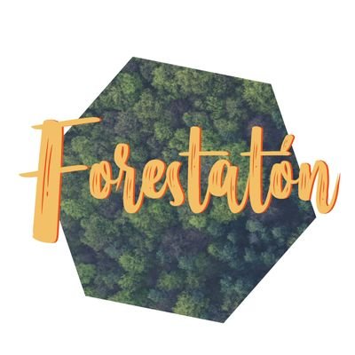 Realizamos jornadas de forestación, remediación ambiental y reforestación del bosque nativo y arbolado urbano 🌳
•Fundación @FIDS_Arg •