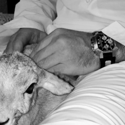 5_waly's profile picture. شبيه الورد لمطّلي لي منثّر فوق وجناته