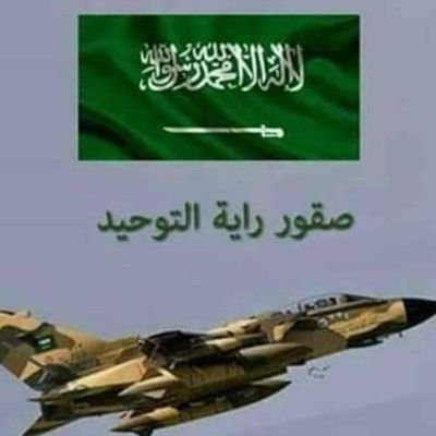 السياسي والاقتصادي والاجتماعي والثقافي والداخلية والخارجية والمالية والإدارية والمالية والصحة والتعليم والفنية والرى والإسكان و البيئة والتنمية المستدامة وسيناء