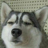 menmos (@menmos5) 's Twitter Profile
