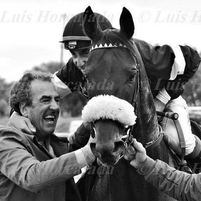 31 años entrenando caballos de carreras . 🏆🏆 G.P. MADRID. 🏆🏆Derbys. 🏆 Copa de Oro de San Sebastián.🏆G.P Memorial Duque de Toledo, 🏆 🏆 G.P. Hispanidad