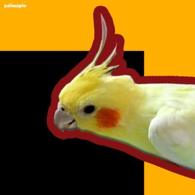 pafmapiu's profile picture. Aqui tudo é bom mas nada é perfeito
Insta: @pafmapiu