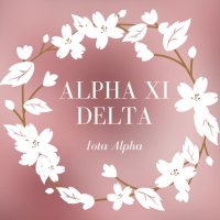 ๐๐ฅ๐ฉ๐ก๐ ๐๐ข ๐๐๐ฅ๐ญ๐ (@gmualphaxidelta) 's Twitter Profile