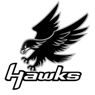 HawkVvhs Profile Picture