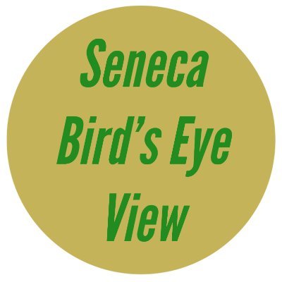 Seneca Bird's Eye View