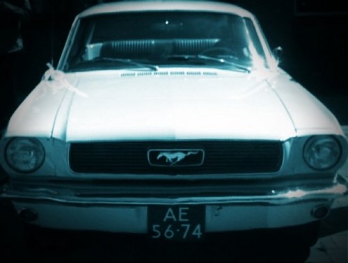 royenmars's profile picture. rij en taxi instructeur en trotse vader