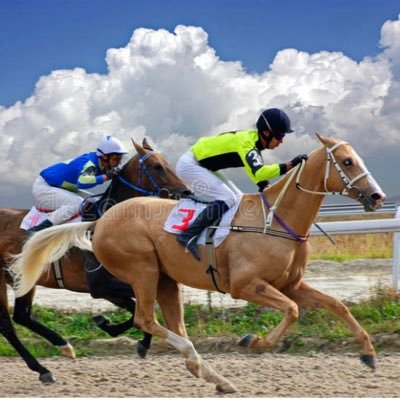 Horse racing tips based on research Bigger odds, bigger risk and bigger fun. Keep it small!! Got a winner? Spread the wealth  https://t.co/oi0NZYbJ8o