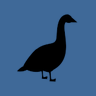 SwiftGoose5's profile picture. I'm a macOS Swift Programmer, and I'd like to share my knowledge in tutorials and app-building videos!