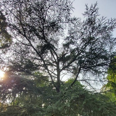 ulp_ralugnis's profile picture. last for check-in