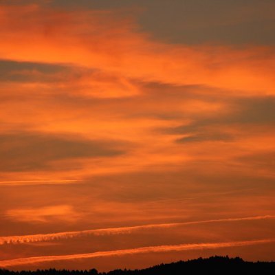 GBurnindav's profile picture. flew up