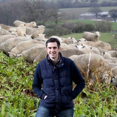 Grazing Fodder Beet & Grassland Consultant & Beef and Sheep Farmer