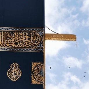 sara_alyosef's profile picture. الحمدالله على ماسرّ من أمري وساء 🌿 يارب رضاك و الجنـة 🤍✨