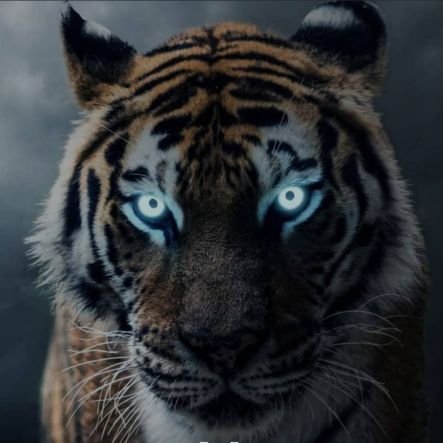 silencentral's profile picture. Longterm Hodler and Crypto Enthusiast 🚀🚀🏁