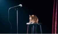 ⠀ ⠀⠀⠀⠀⠀ ⠀⠀⠀⠀⠀ ⠀⠀⠀⠀⠀ ⠀⠀⠀⠀⠀ ⠀⠀⠀⠀⠀ ⠀⠀⠀⠀⠀ ⠀⠀⠀⠀⠀ ⠀⠀⠀⠀⠀ ⠀⠀⠀⠀⠀ ⠀⠀⠀⠀⠀ ⠀⠀⠀⠀⠀ ⠀⠀⠀⠀⠀ ⠀⠀⠀⠀⠀ ⠀⠀⠀⠀⠀ ⠀⠀⠀⠀⠀ ⠀⠀⠀⠀⠀⠀⠀ ⠀⠀⠀⠀⠀ ⠀⠀⠀⠀⠀ ⠀⠀⠀⠀⠀ ⠀⠀⠀⠀⠀ ⠀⠀⠀⠀
