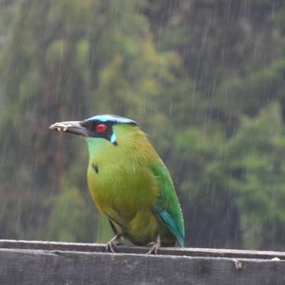 AdielaGiraldo5's profile picture. 