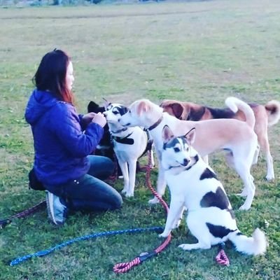 モグモグさんのプロフィール画像