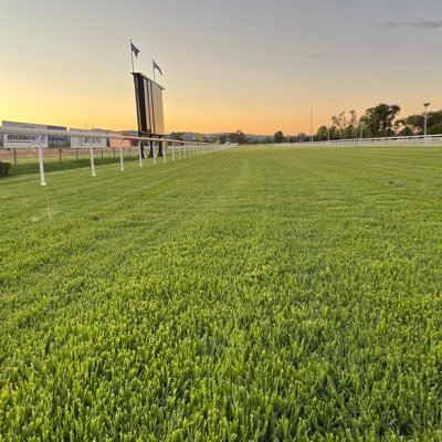 mtcwagga Profile Picture