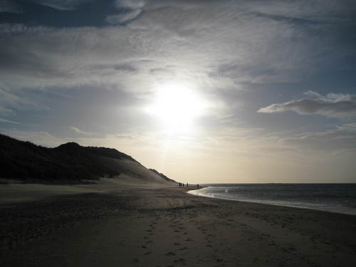 KirbyCorps's profile picture. I am awesome