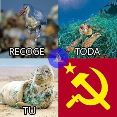 Reciclador, amo 💚 la naturaleza y los animales, pero sobre todo mi 🇨🇱.  Anticomunista 👊👊👊.