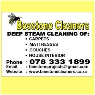 we clean carpets (home & office), bed/ mattress, couches / sofas, car seats. YOUR DIRT , OUR PLEASURE