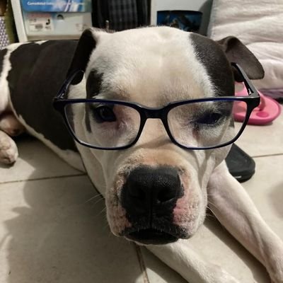 luisauz's profile picture. La vida me hizo un loco y soñador