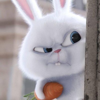 frankiefoo732's profile picture. @frankiefoo@hachyderm.io