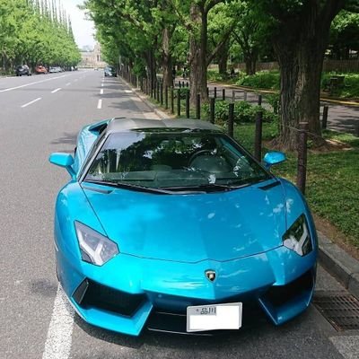 大田区在住

　　   Lanbolgini Aventerdor , Ferrari 458spider , Benze G350d , HAMMER H2，RENAULT KANGOO