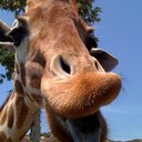 sharon galloway - @cishazza - Twitter