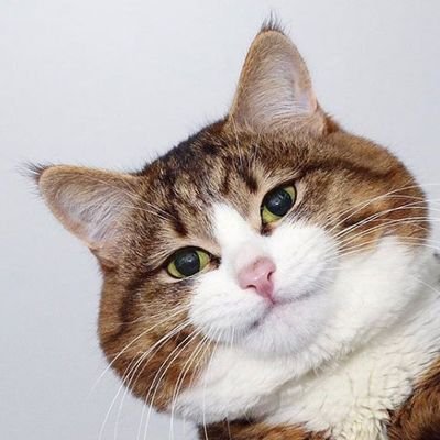 XiaoQuang_888's profile picture. 学无止境