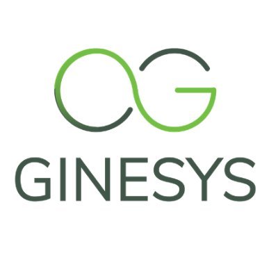 Ginesys One