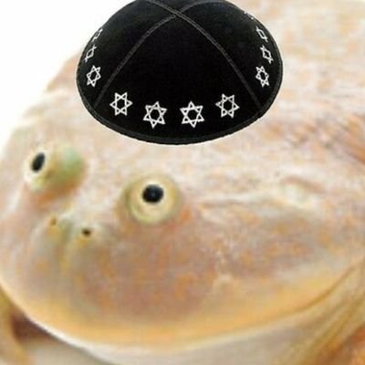 The age is (d/dx of 21x). Working on space things. (Jewish, frog with kippa funny).