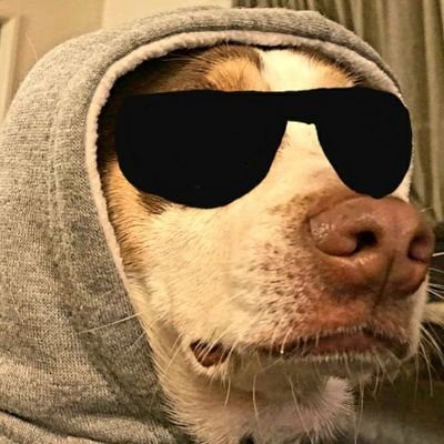 Jetesoulevegrossefolle Profile