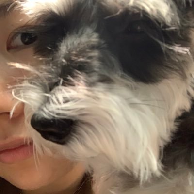 LeeSucrie's profile picture. Hello world