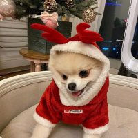 Mark William (@markwil27040078) 's Twitter Profile