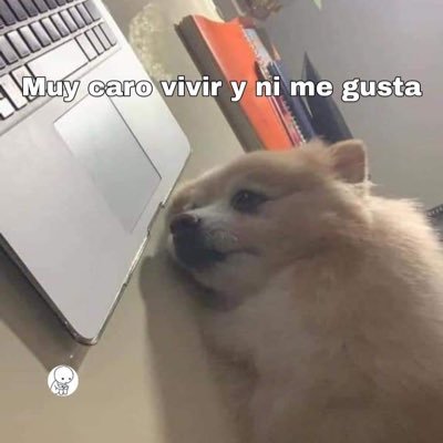 SoyUnHumanoMas2's profile picture. Piensa, escribe, al fin de cuentas somos libres, o no?