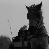 a. (@kavganingobegi) Twitter profile photo