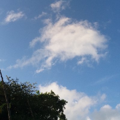 eleven_japan's profile picture. 