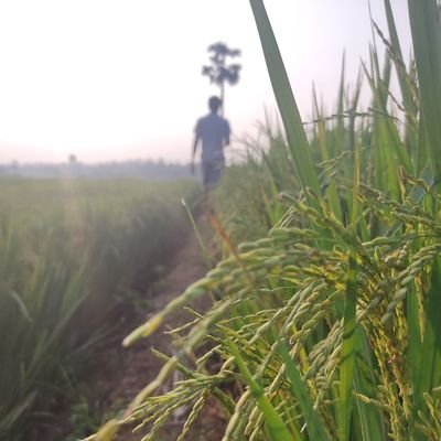 Ajay_hitman45's profile picture. 🤠