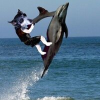 PepiSmartDog (@pepismartidog) 's Twitter Profile
