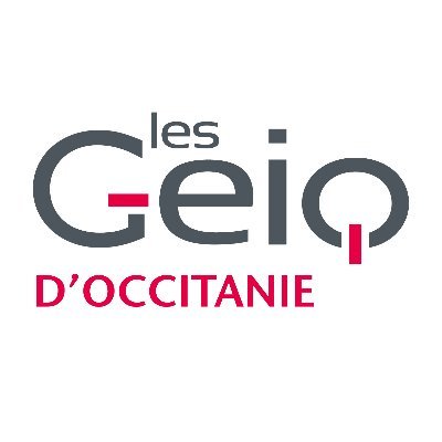 Le Comité Régional des GEIQ regroupe les 24 Geiq (Groupement d'Employeurs pour l'Insertion et la Qualification) d'Occitanie.