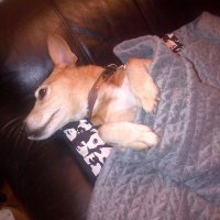 let me out (@letmeou58618560) 's Twitter Profile Photo