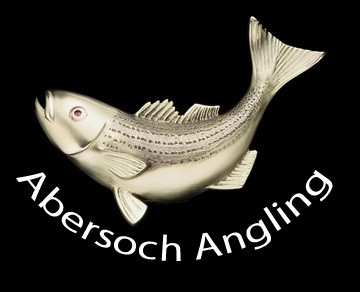 For everything fishing around Abersoch and the Llyn, latest fishing news, catch information etc