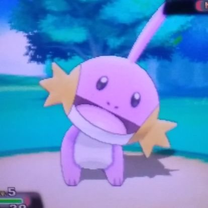 じょかのポケモン垢 ヒトカゲ色違いクソわかりにくいしダサいけどリザードン黒は神よなぁ じょかのポケモン垢 ヒトカゲ色違いクソわかりにくいしダサいけどリザードン黒は神よなぁ