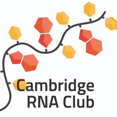 We love all things RNA! We from @ericmiskalab run a monthly seminar series on topics related to RNA biology and chemistry. Sponsored by @RNAsociety and @lexogen