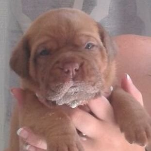 PhilRM1966's profile picture. 