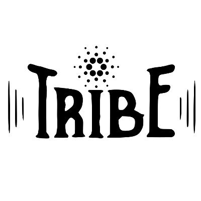 Our pool for ADA will help Cardano Blockchain to change the known world. DeFi Ambassadors. Bare Metal Server. 24/7 Monitoring. Our Ticker: TRIBE