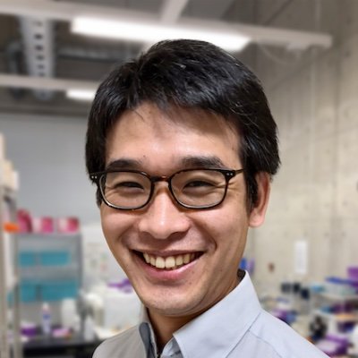 Professor, Medical Institute for Bioregulation, Kyushu University. Transcriptional bursting, heterogeneity in gene expression, pluripotency